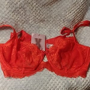 Unlined Lace Bra